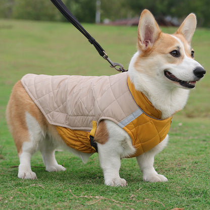 🐾 Ensemble Casual pour Chiens – Style et Confort au Quotidien !